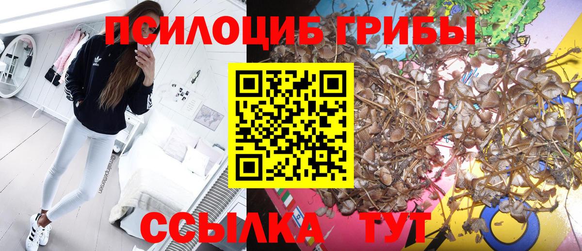Галлюциногенные грибы мухоморы Ейск