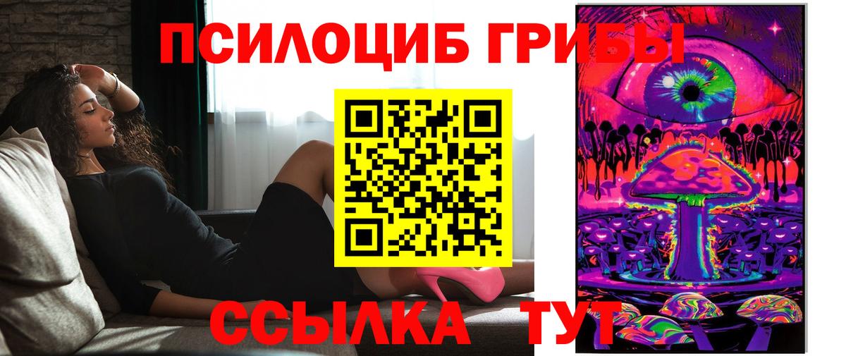 Псилоцибиновые грибы Cubensis  Вход с VPN  Ейск  Псилоцибиновые грибы ЛСД 